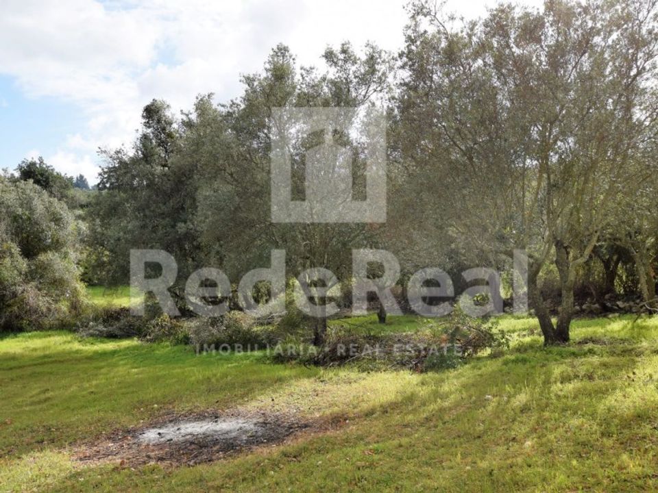 Helårsgrund i Santa Barbara de Nexe, Faro - foto 2