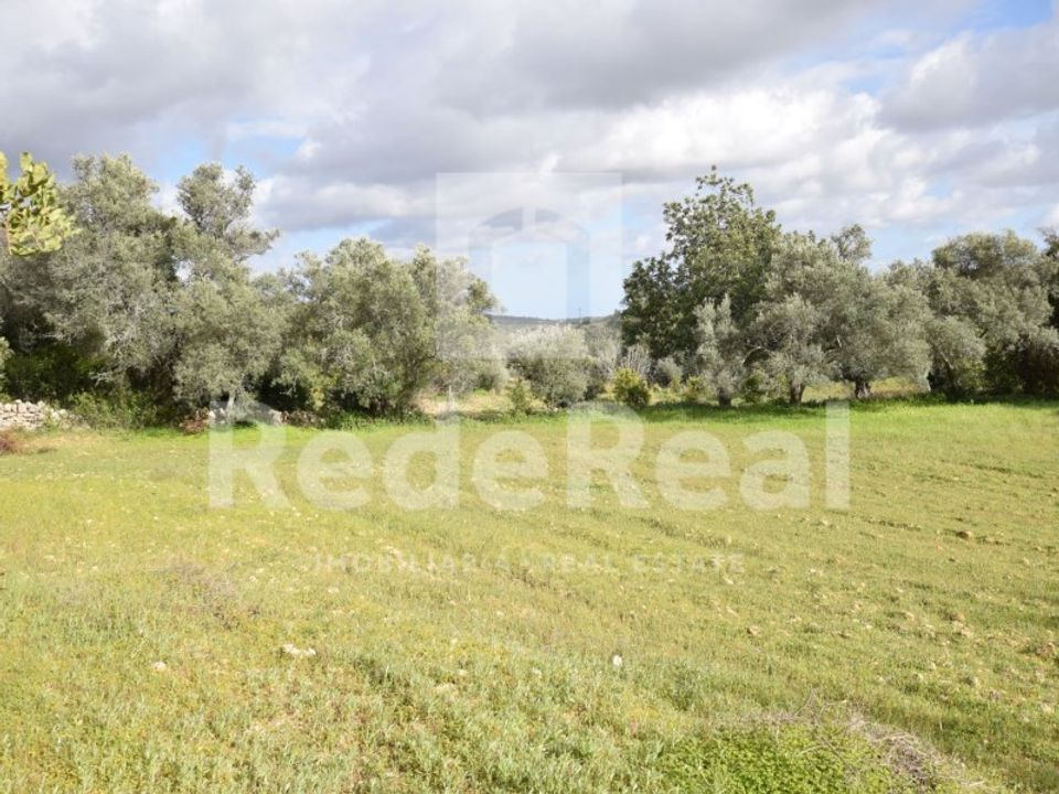 Helårsgrund i Santa Barbara de Nexe, Faro - foto 3
