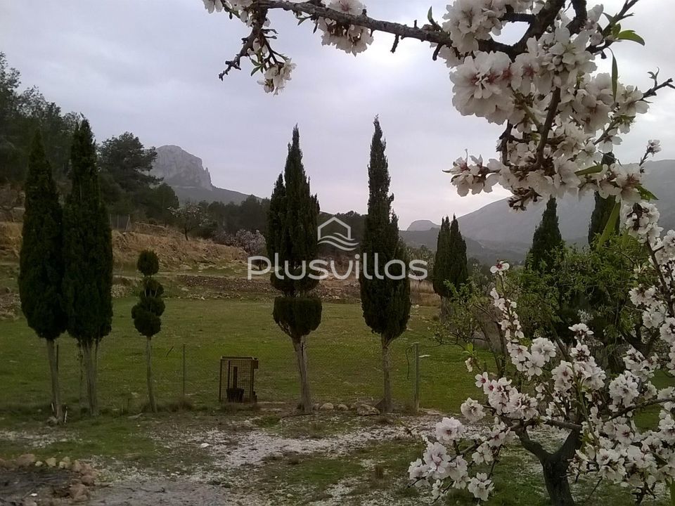 Helårsgrund i Benissa, Alicante - foto 5