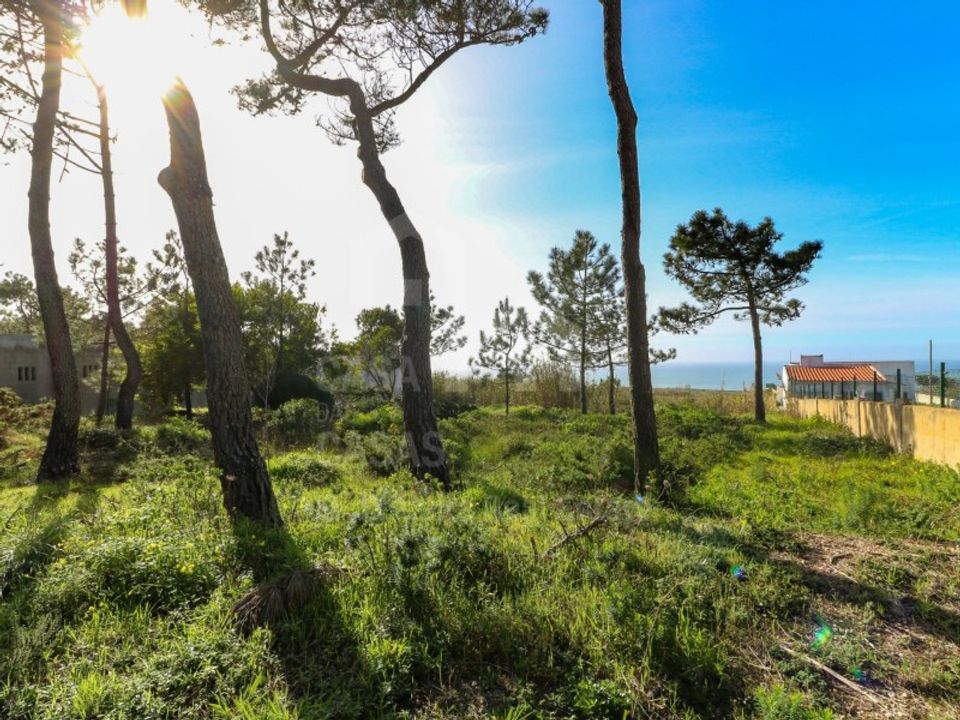 Helårsgrund i Sao Joao das Lampas e Terrugem, Lisbon - foto 4