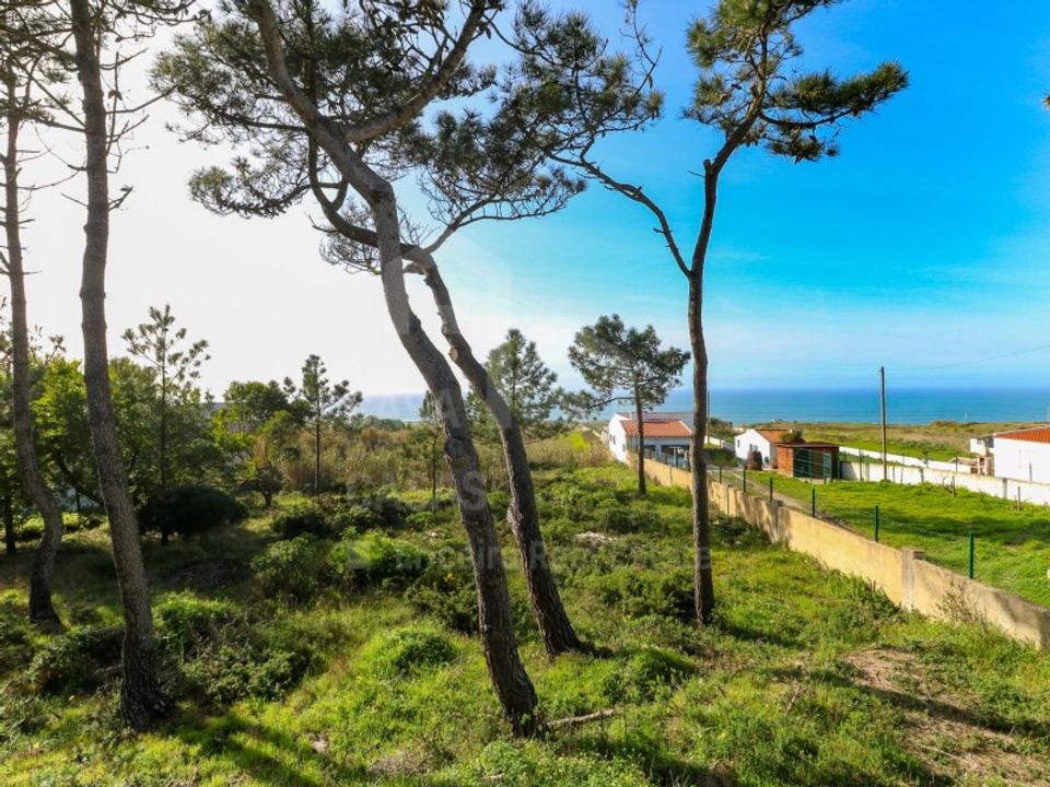 Helårsgrund i Sao Joao das Lampas e Terrugem, Lisbon - foto 5
