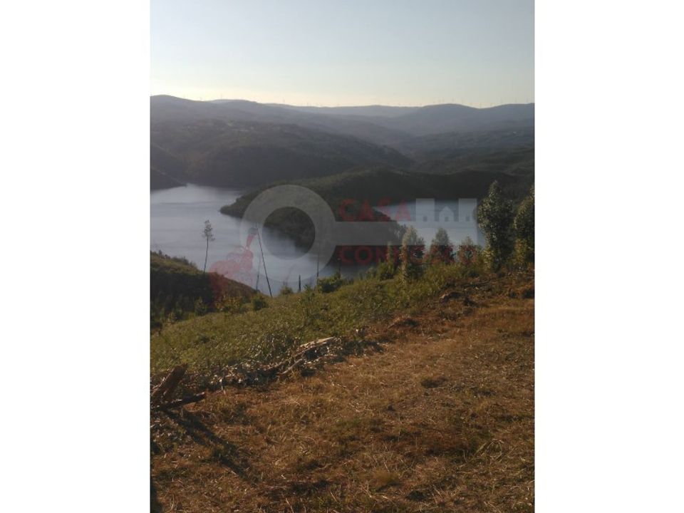 Terra a Fajao-Vidual, Coimbra - foto 4