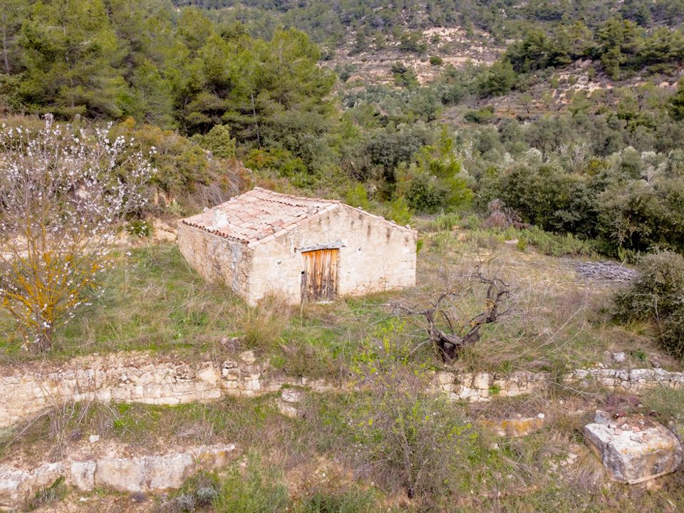 Finca i Bot, Tarragona - foto 2