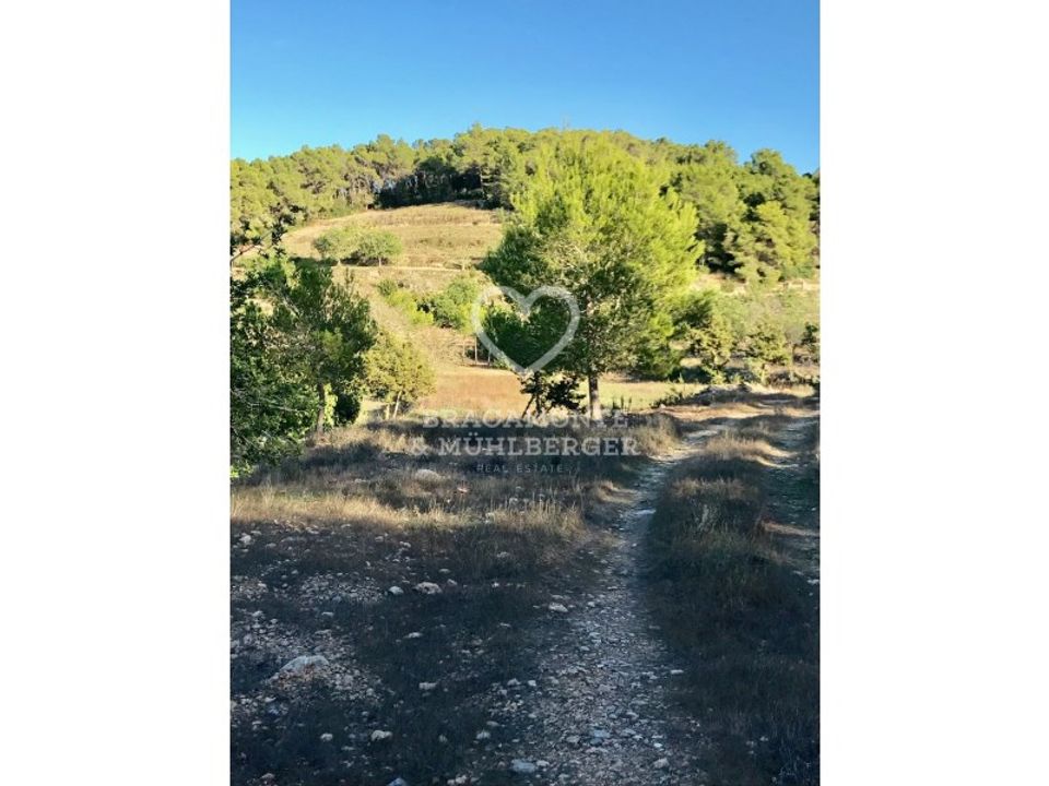 Farm i San Antonio De Portmany, Ibiza - foto 5