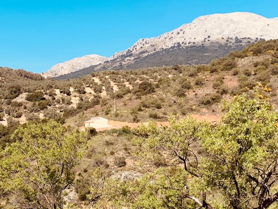 Herregård i Colmenar, Malaga - bilde 1