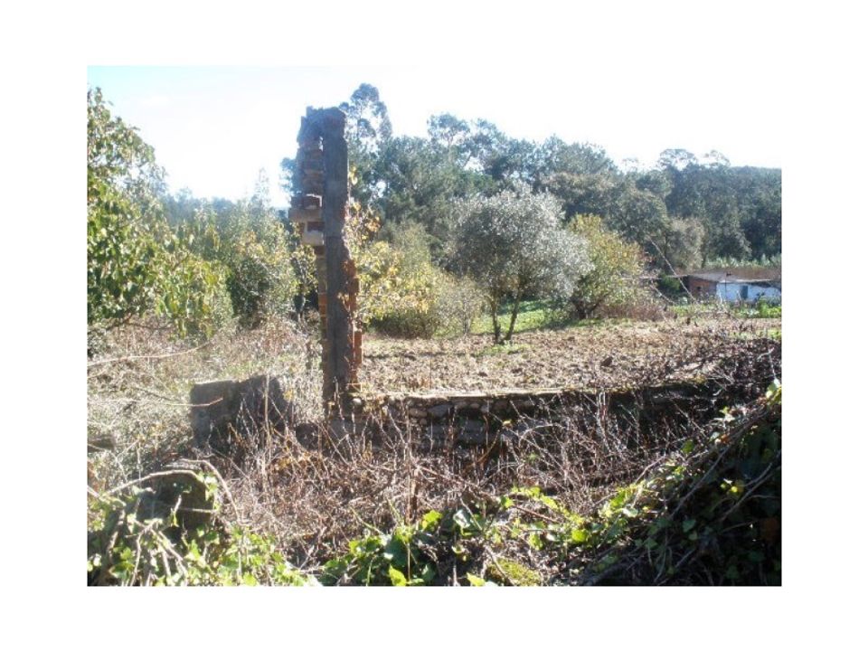 Tomt i Monte Real, Leiria - bilde 3