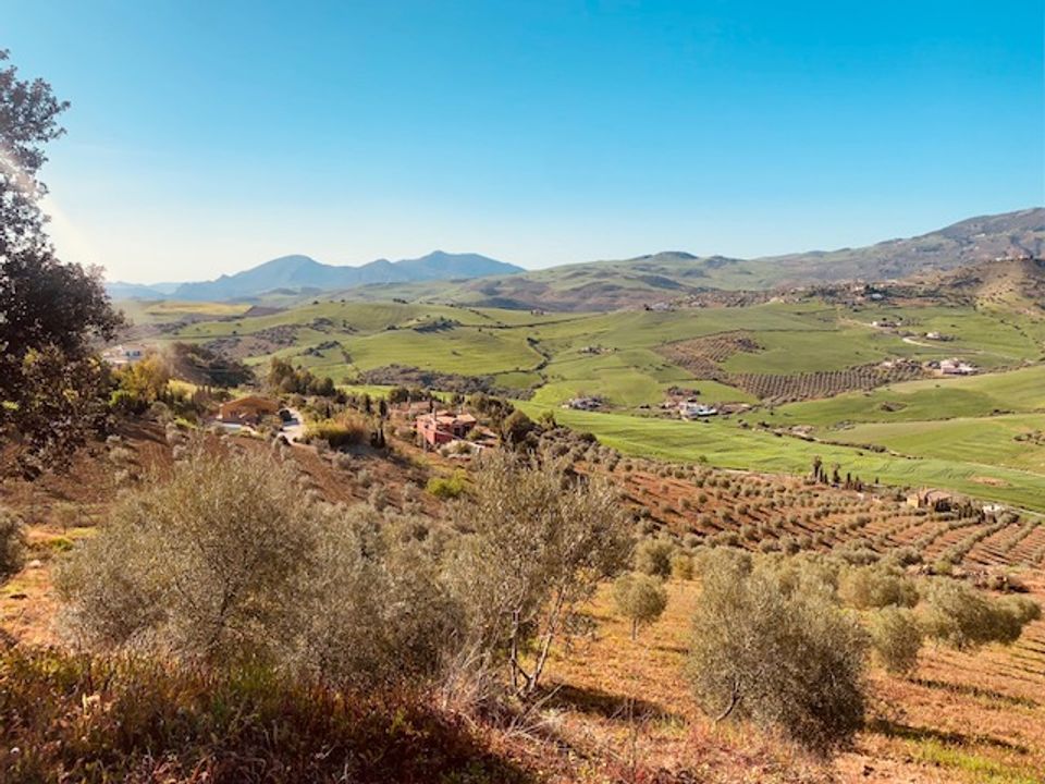 Erhvervsejendom i Villanueva De La Concepcion, Malaga - foto 1