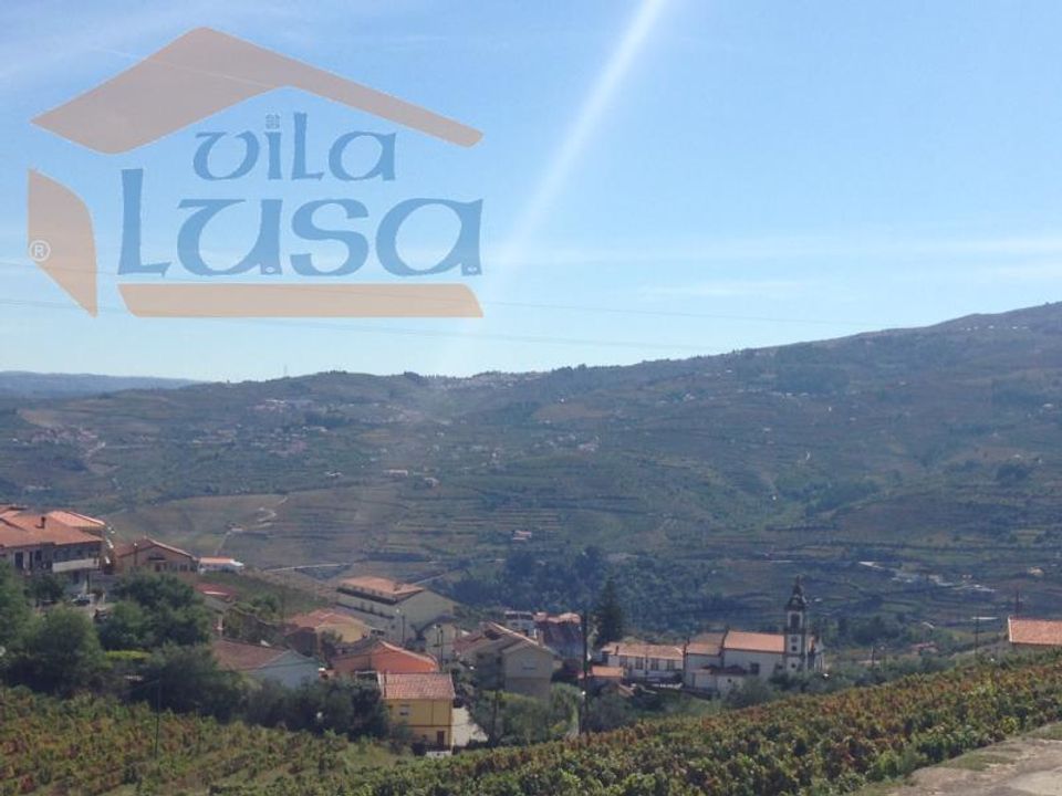 Farm i Peso da Regua, Vila Real - foto 2