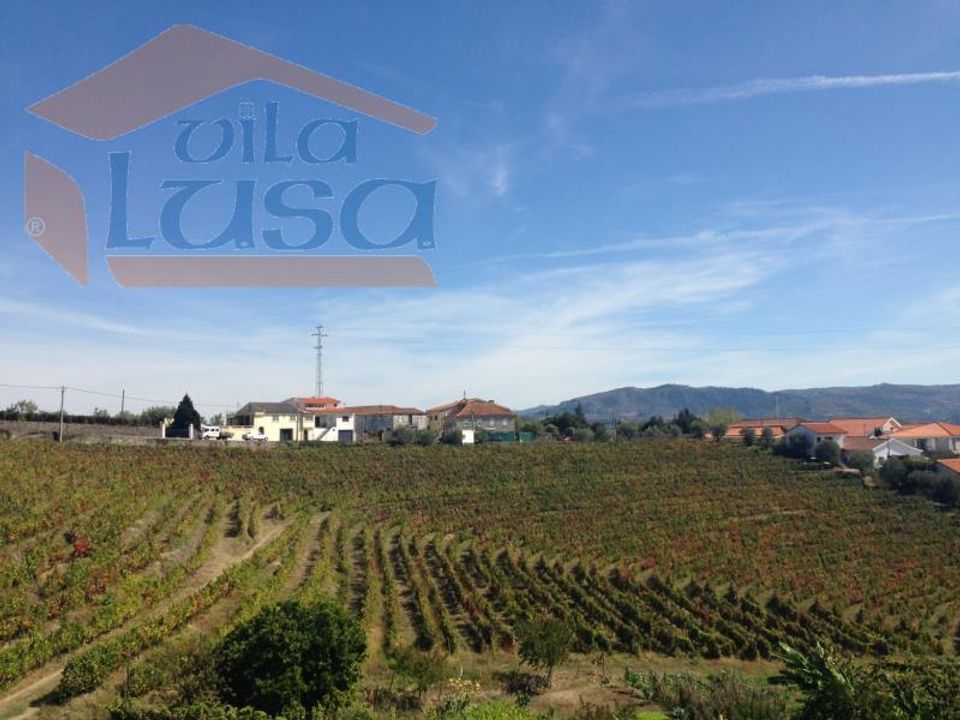 Farm i Peso da Regua, Vila Real - foto 3