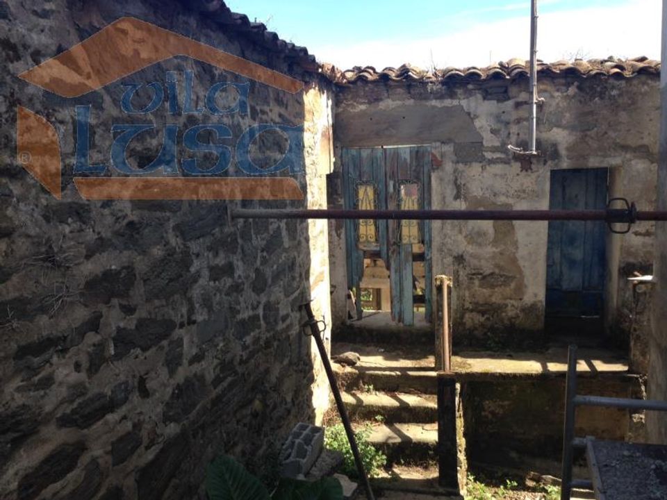 Farm i Peso da Regua, Vila Real - foto 4