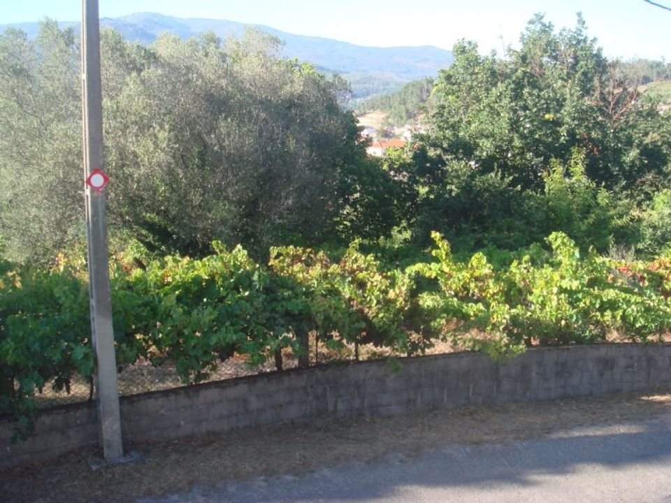 Helårsgrund i Moncao, Viana do Castelo - foto 1
