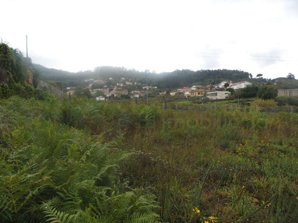 Helårsgrund i Valenca, Viana do Castelo - foto 4
