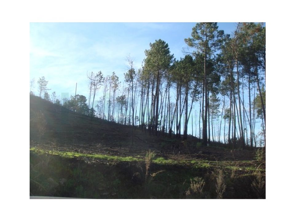 Helårsgrund i Cambeses, Viana do Castelo - foto 4