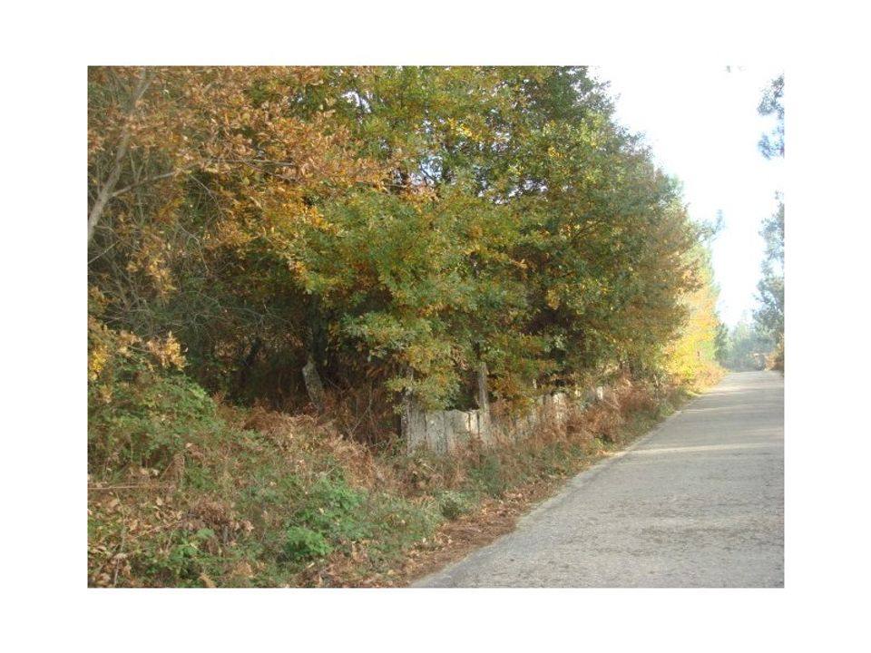 Helårsgrund i Troporiz e Lapela, Viana do Castelo - foto 4