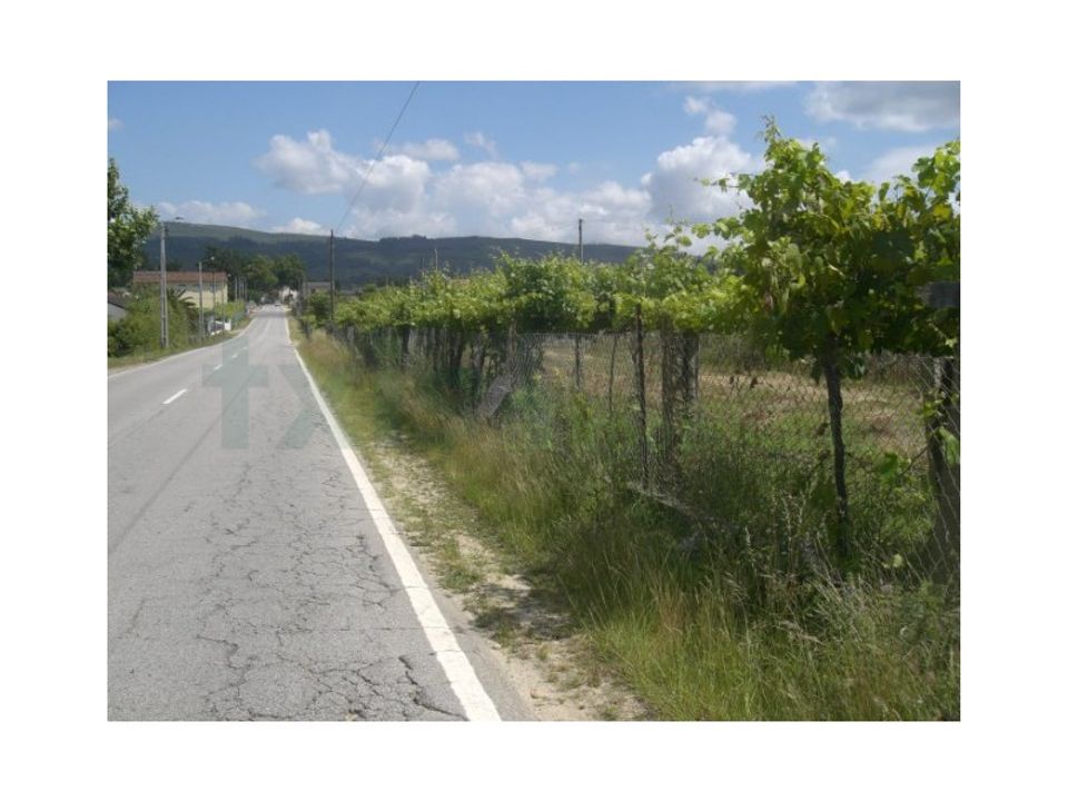 Helårsgrund i Valenca, Viana do Castelo - foto 1