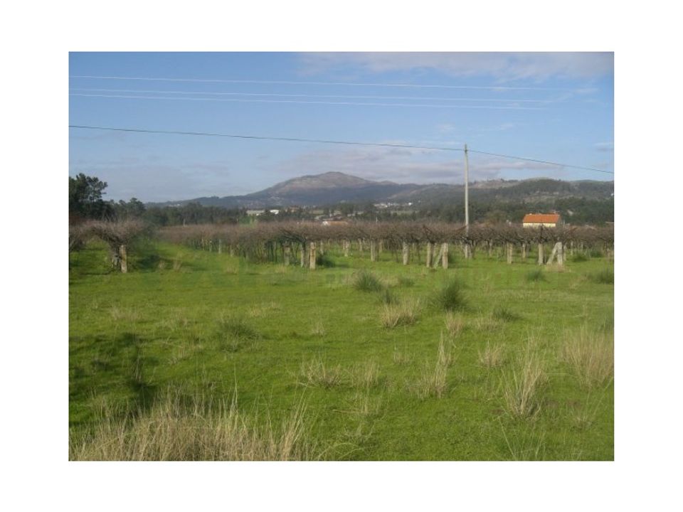 Tomt i Bela, Viana do Castelo - bilde 1