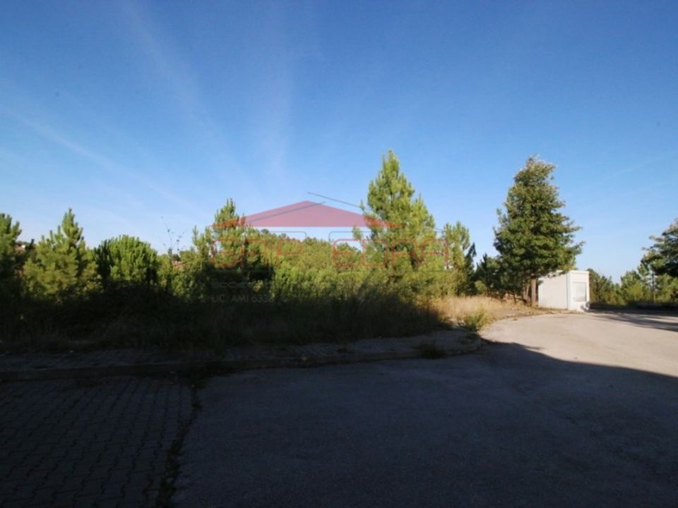 Helårsgrund i Abrantes, Santarem - foto 4
