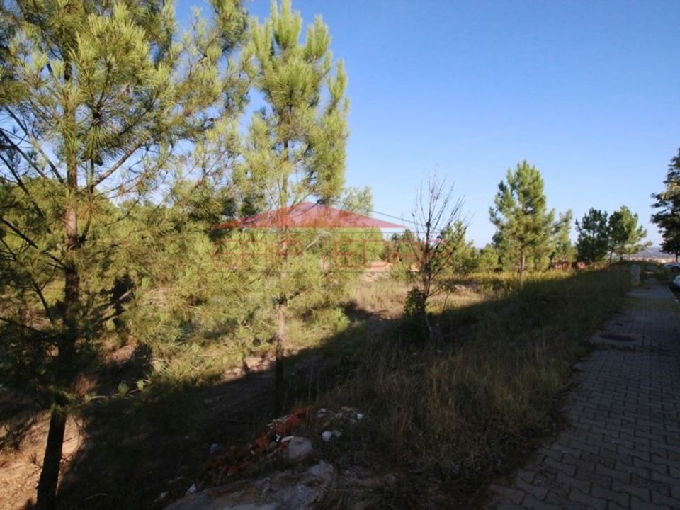 Helårsgrund i Abrantes, Santarem - foto 5