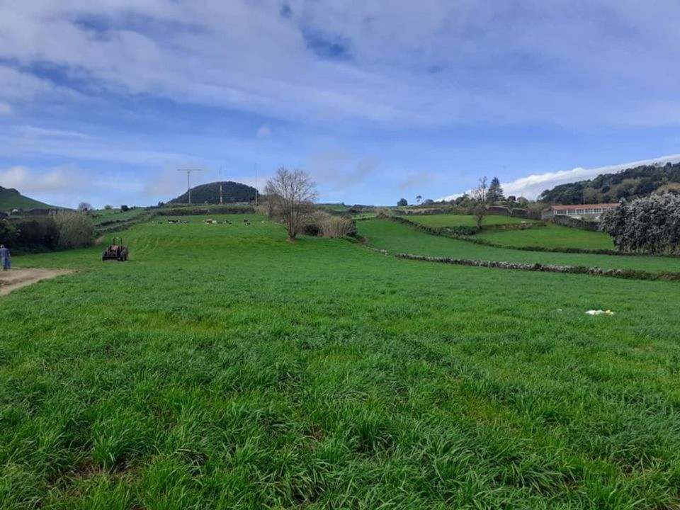 Tomt i Faja de Baixo, Sao Miguel - bilde 2