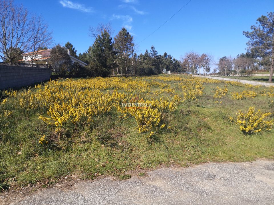 Tomt i Seia, Guarda - bilde 2