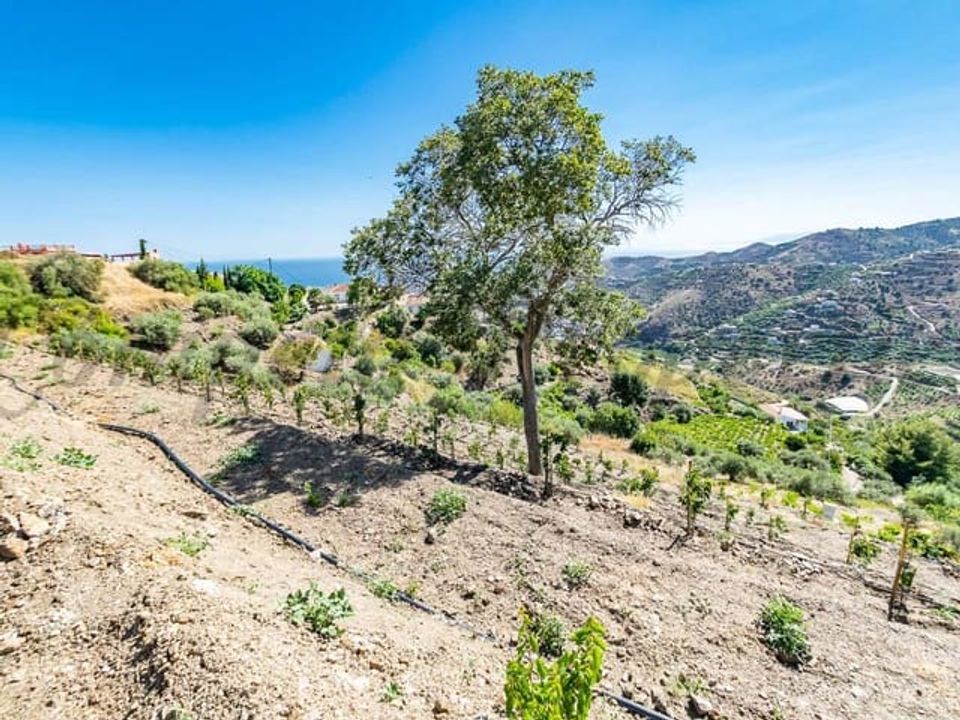 Helårsgrund i Torrox, Malaga - foto 2