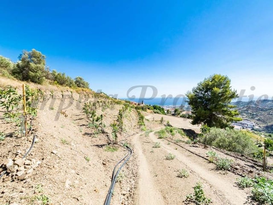 Helårsgrund i Torrox, Malaga - foto 5