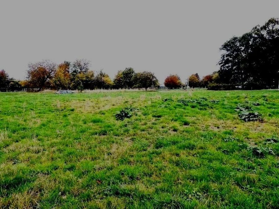 Tomt i Cirey-sur-Vezouze, Meurthe-et-Moselle - bilde 1