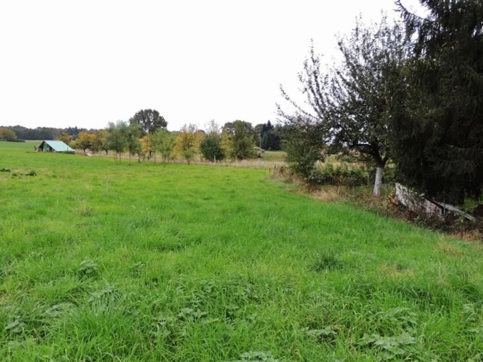 Tomt i Cirey-sur-Vezouze, Meurthe-et-Moselle - bilde 5