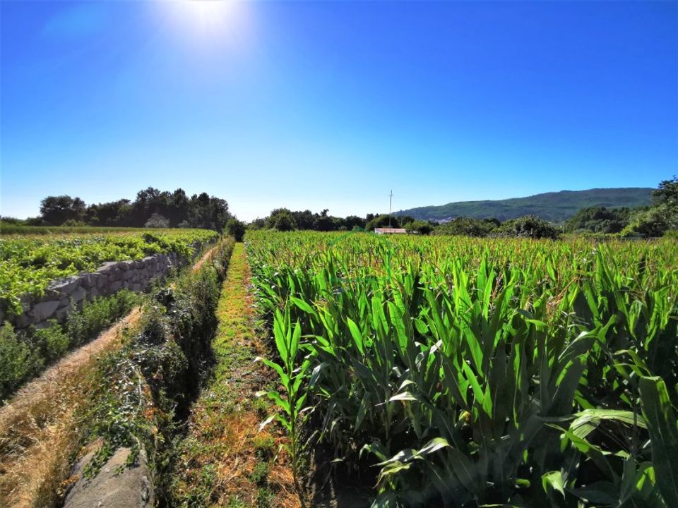 Helårsgrund i Vile, Viana do Castelo - foto 2