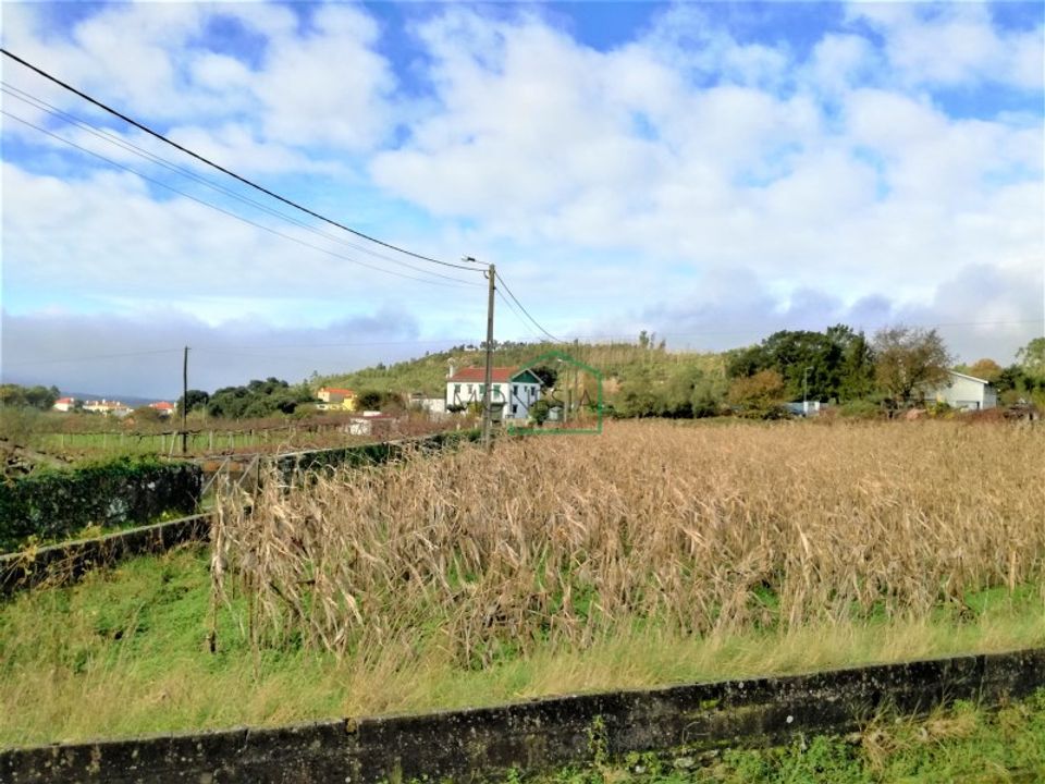 Helårsgrund i Caminha, Viana do Castelo - foto 3