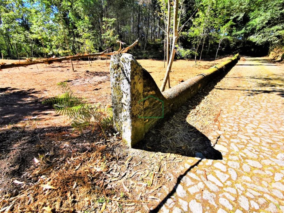 Helårsgrund i Caminha, Viana do Castelo - foto 4