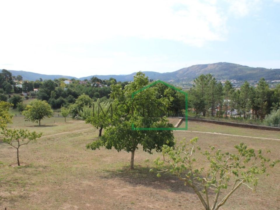 Farm i Caminha, Viana do Castelo - foto 3