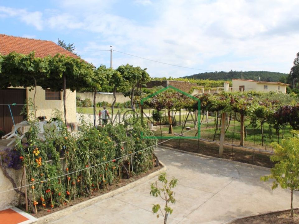 Farm i Caminha, Viana do Castelo - foto 4