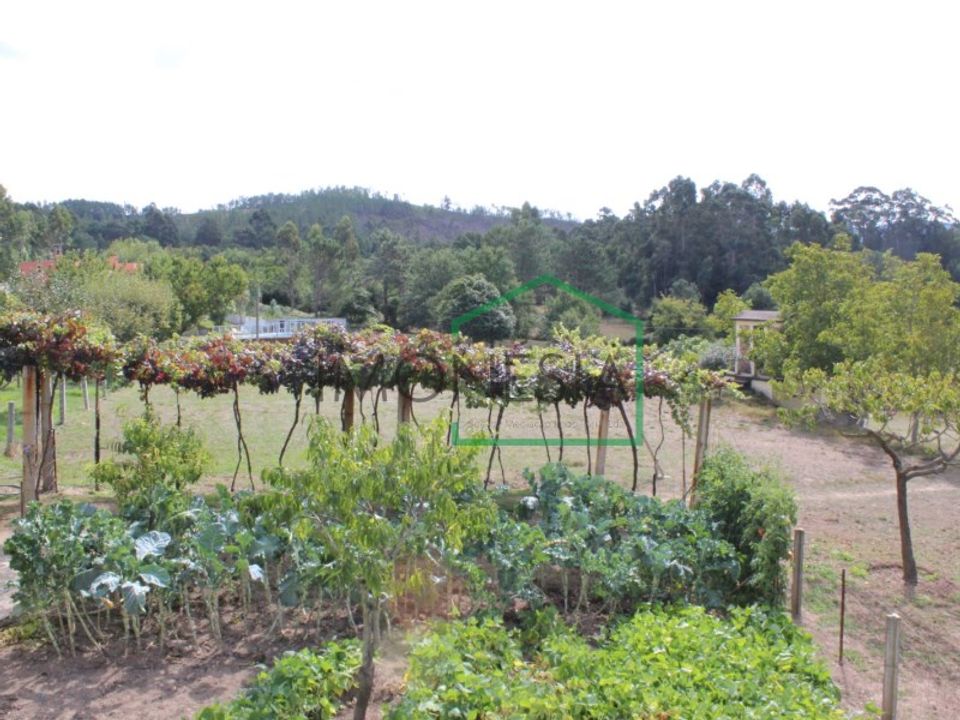 Farm i Caminha, Viana do Castelo - foto 5