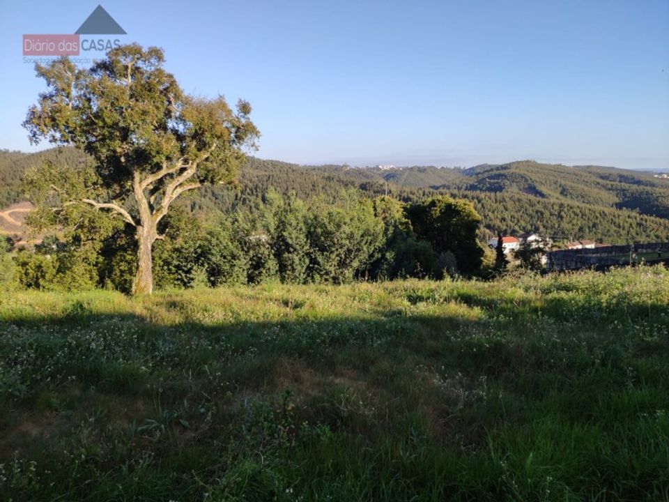 Helårsgrund i Coimbra, Coimbra - foto 5