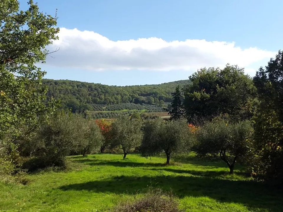 Landejendom i Baschi, Terni - foto 5