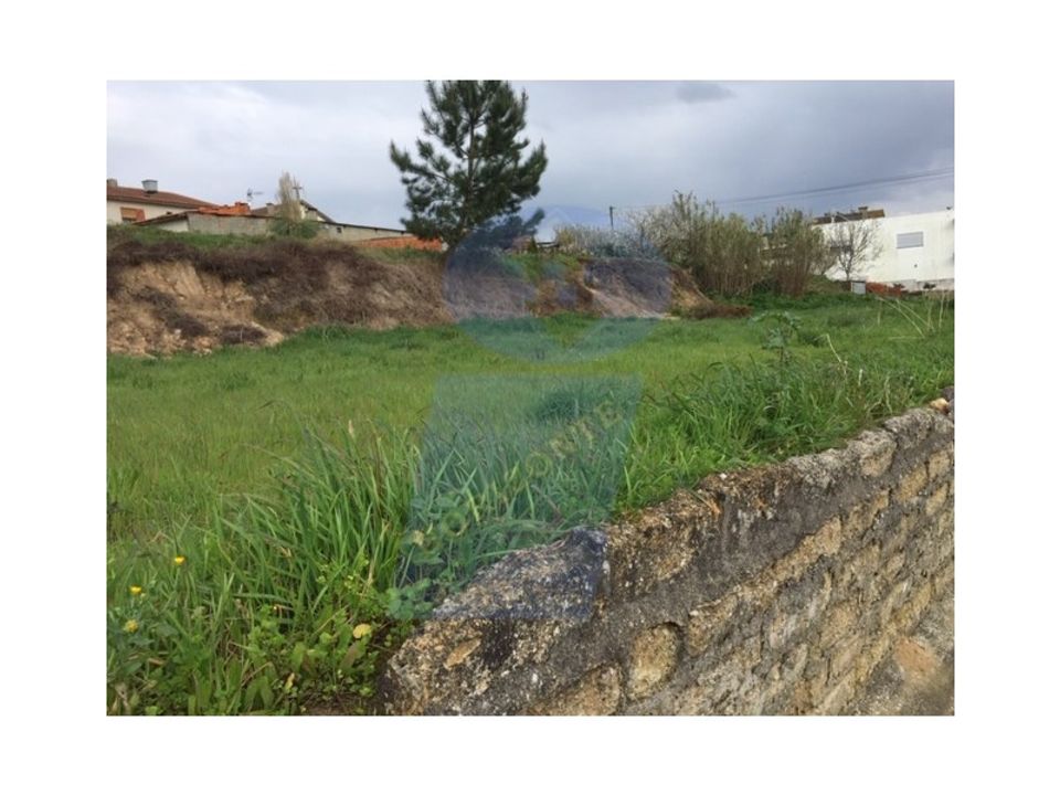Helårsgrund i Oliveira do Bairro, Aveiro - foto 4