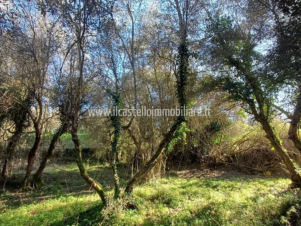 Helårsgrund i Sarteano, Siena - foto 1