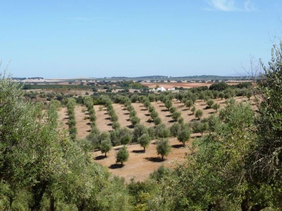 Helårsgrund i Avis, Portalegre - foto 1