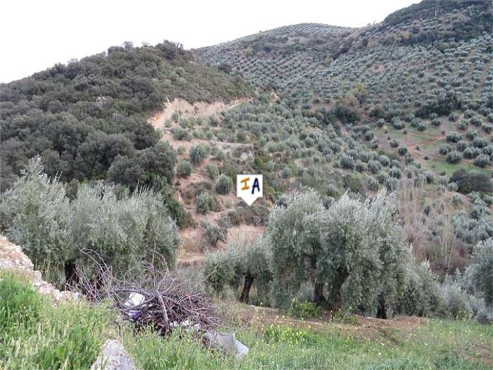 Cortijo i Fuensanta De Martos, Jaen - foto 2