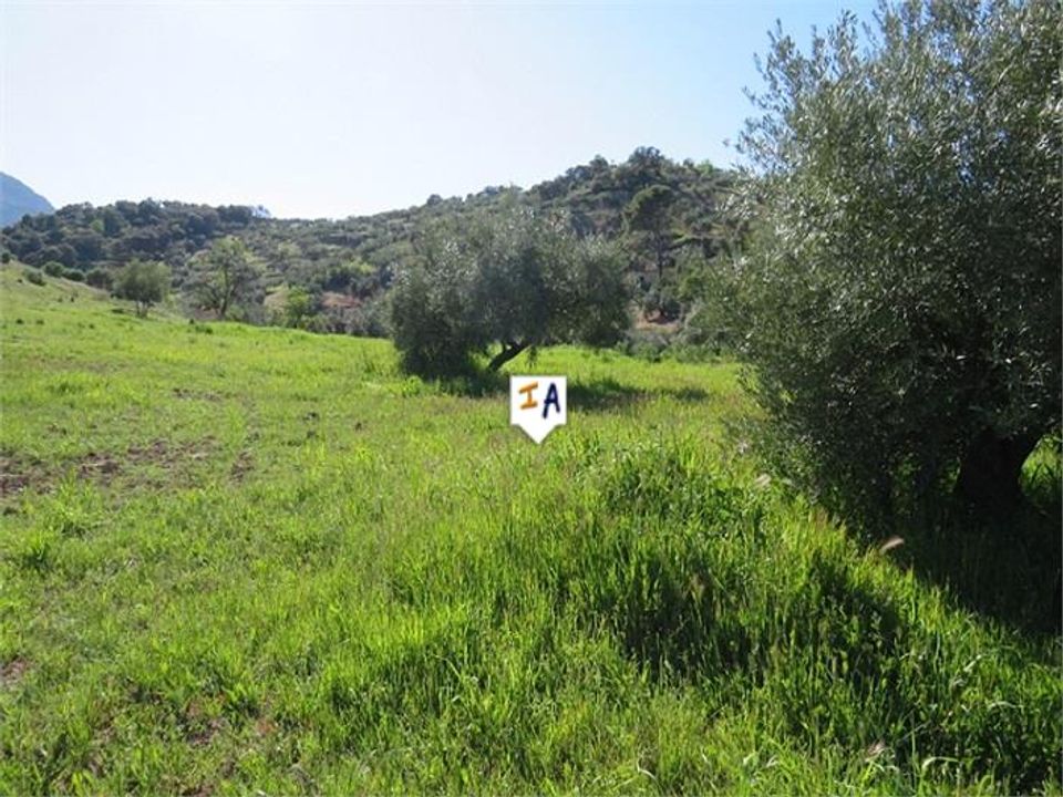 Helårsgrund i Las Casillas De Martos, Jaen - foto 3
