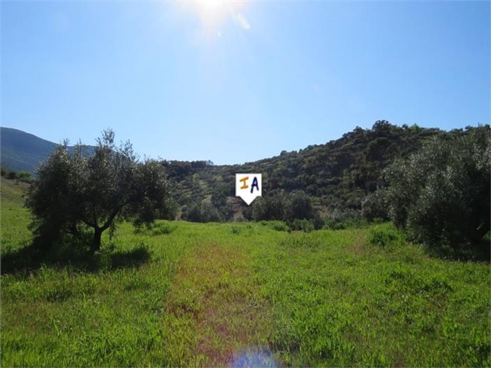 Helårsgrund i Las Casillas De Martos, Jaen - foto 4