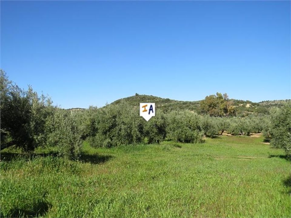 Helårsgrund i Las Casillas De Martos, Jaen - foto 5