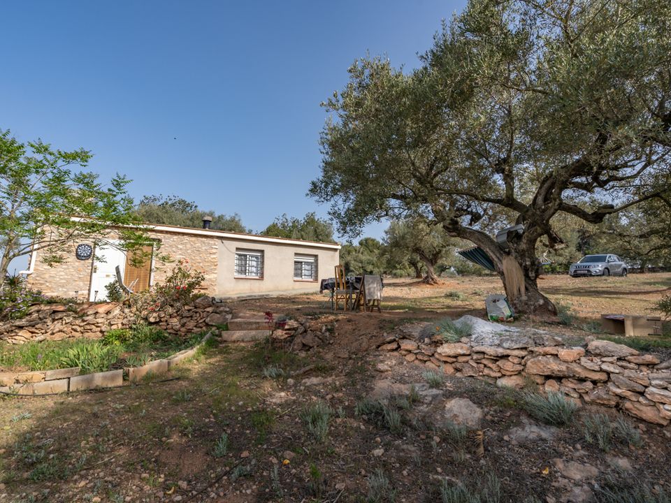 Landejendom i Masdenverge, Tarragona - foto 1
