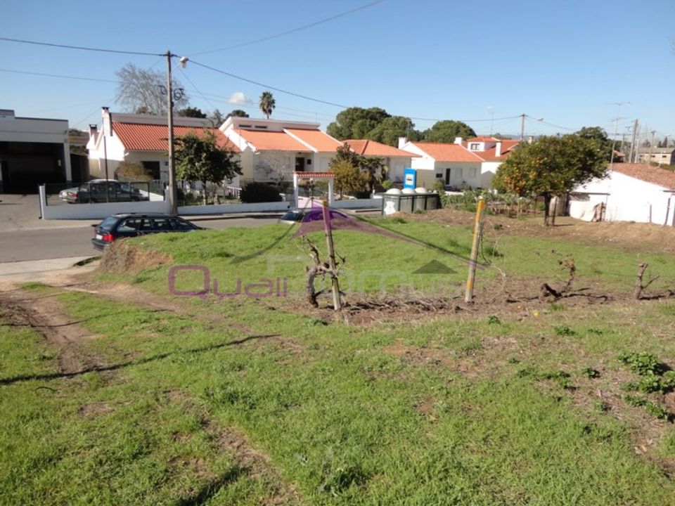 Helårsgrund i Riachos, Santarem - foto 1