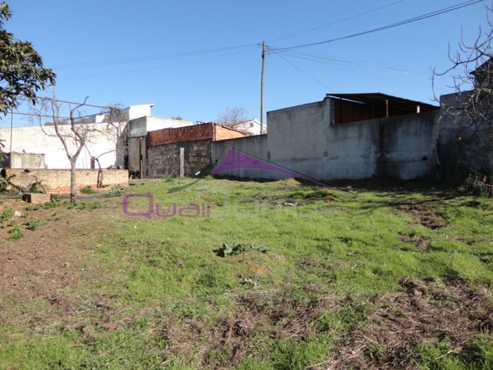 Helårsgrund i Riachos, Santarem - foto 2