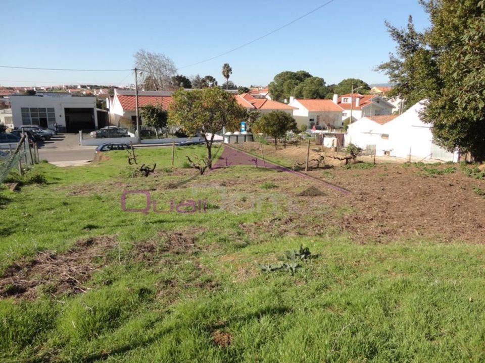 Helårsgrund i Riachos, Santarem - foto 3