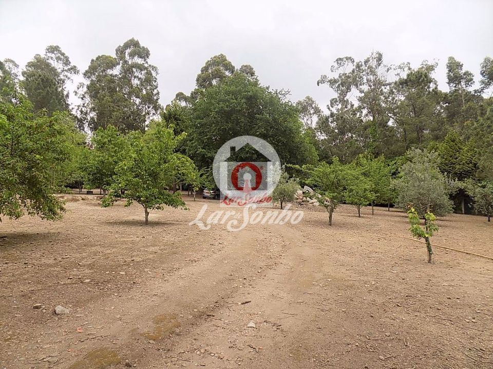 Farm i Vila Nova de Famalicao, Braga - foto 4