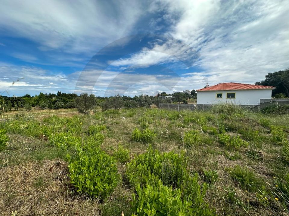 Helårsgrund i Sardoal, Santarem - foto 4