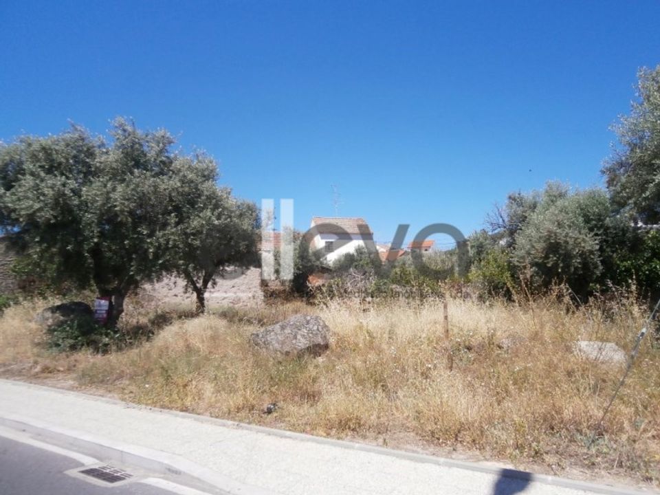 Helårsgrund i Castelo Branco, Castelo Branco - foto 3